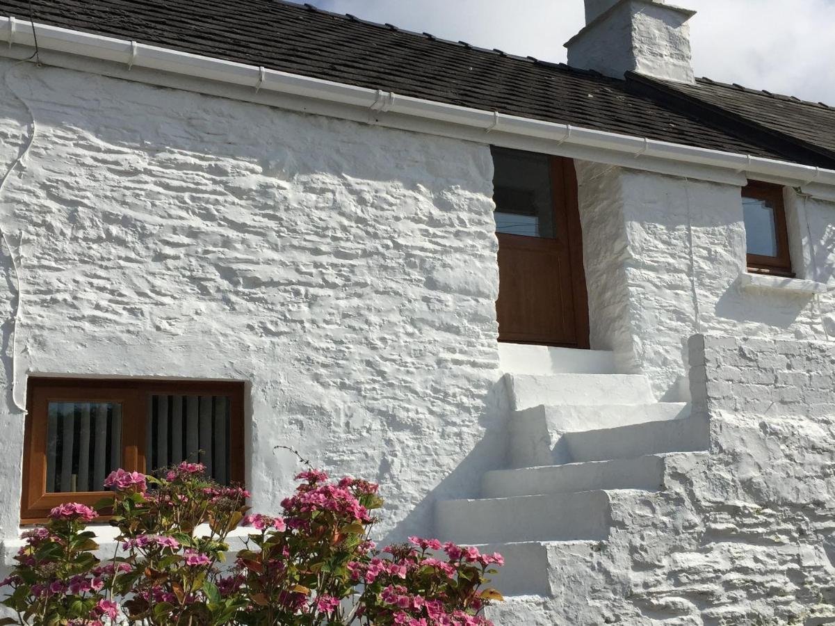 Little Barn Cottage Newport  Buitenkant foto